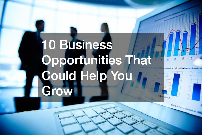 10 Business Opportunities That Could Help You Grow